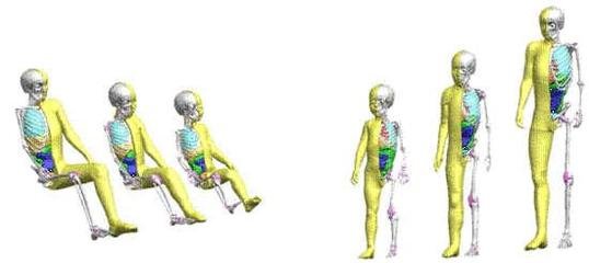 丰田改进虚拟人体模型“THUMS” 应对包括自动驾驶车辆在