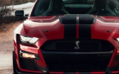 2020年福特野马Shelby GT500在赛车条纹上花费10,000美元