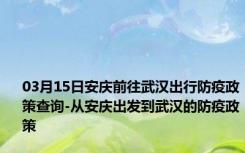 03月15日安庆前往武汉出行防疫政策查询-从安庆出发到武汉的防疫政策