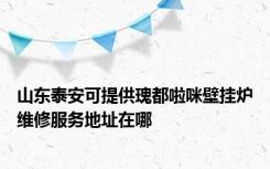 山东泰安可提供瑰都啦咪壁挂炉维修服务地址在哪