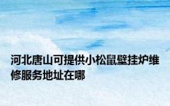 河北唐山可提供小松鼠壁挂炉维修服务地址在哪