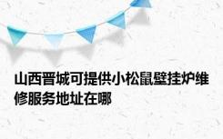 山西晋城可提供小松鼠壁挂炉维修服务地址在哪