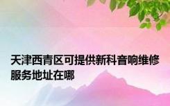 天津西青区可提供新科音响维修服务地址在哪