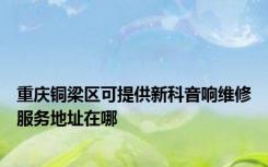 重庆铜梁区可提供新科音响维修服务地址在哪