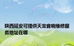 陕西延安可提供天龙音响维修服务地址在哪