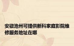 安徽池州可提供新科家庭影院维修服务地址在哪