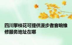 四川攀枝花可提供漫步者音响维修服务地址在哪