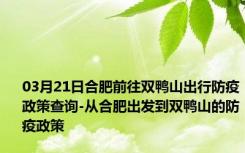 03月21日合肥前往双鸭山出行防疫政策查询-从合肥出发到双鸭山的防疫政策