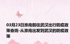 03月23日淮南前往武汉出行防疫政策查询-从淮南出发到武汉的防疫政策