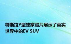 特斯拉Y型独家照片展示了真实世界中的EV SUV 