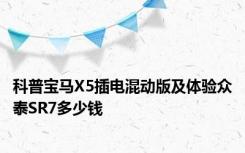 科普宝马X5插电混动版及体验众泰SR7多少钱