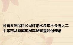 科普多家保险公司许诺水浸车不会流入二手车市及家庭成员车辆碰撞如何理赔