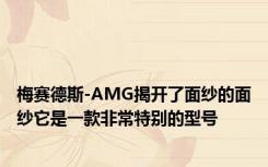 梅赛德斯-AMG揭开了面纱的面纱它是一款非常特别的型号