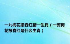 一九梅花报春红猜一生肖（一剪梅花报春红是什么生肖）