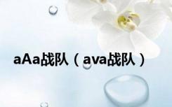 aAa战队（ava战队）