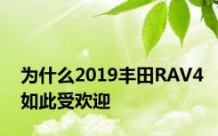 为什么2019丰田RAV4如此受欢迎