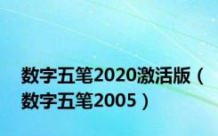 数字五笔2020激活版（数字五笔2005）