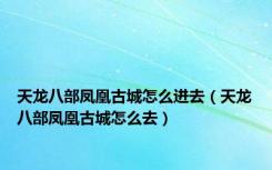 天龙八部凤凰古城怎么进去（天龙八部凤凰古城怎么去）