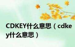 CDKEY什么意思（cdkey什么意思）