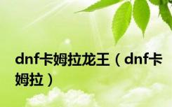 dnf卡姆拉龙王（dnf卡姆拉）