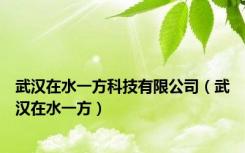 武汉在水一方科技有限公司（武汉在水一方）