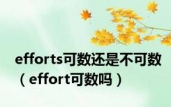 efforts可数还是不可数（effort可数吗）