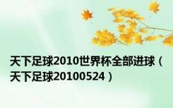 天下足球2010世界杯全部进球（天下足球20100524）