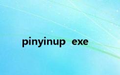 pinyinup  exe