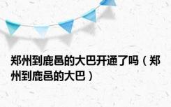 郑州到鹿邑的大巴开通了吗（郑州到鹿邑的大巴）