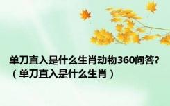 单刀直入是什么生肖动物360问答?（单刀直入是什么生肖）