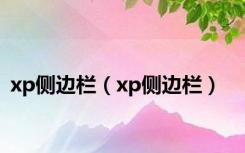 xp侧边栏（xp侧边栏）