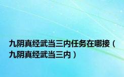 九阴真经武当三内任务在哪接（九阴真经武当三内）