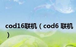 cod16联机（cod6 联机）