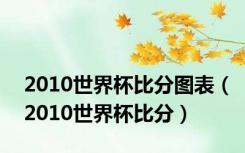 2010世界杯比分图表（2010世界杯比分）