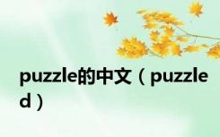 puzzle的中文（puzzled）