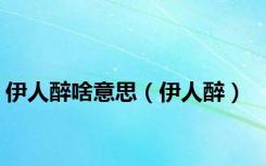 伊人醉啥意思（伊人醉）