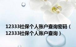 12333社保个人账户查询密码（12333社保个人账户查询）