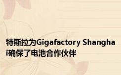 特斯拉为Gigafactory Shanghai确保了电池合作伙伴 