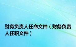 财务负责人任命文件（财务负责人任职文件）