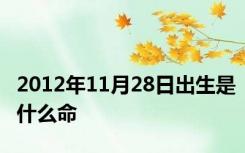 2012年11月28日出生是什么命