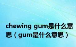 chewing gum是什么意思（gum是什么意思）