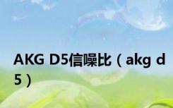 AKG D5信噪比（akg d5）