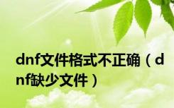 dnf文件格式不正确（dnf缺少文件）