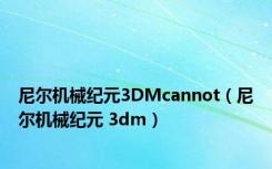 尼尔机械纪元3DMcannot（尼尔机械纪元 3dm）