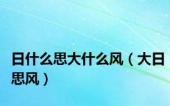 日什么思大什么风（大日思风）