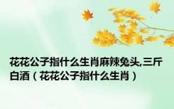 花花公子指什么生肖麻辣兔头,三斤白酒（花花公子指什么生肖）