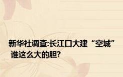 新华社调查:长江口大建“空城” 谁这么大的胆?