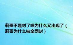 莉哥不是封了吗为什么又出现了（莉哥为什么被全网封）