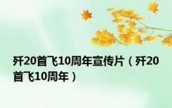 歼20首飞10周年宣传片（歼20首飞10周年）