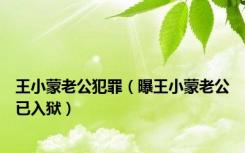 王小蒙老公犯罪（曝王小蒙老公已入狱）